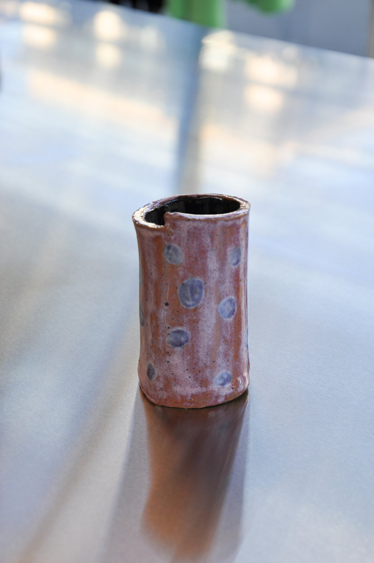 Polkadot Cup