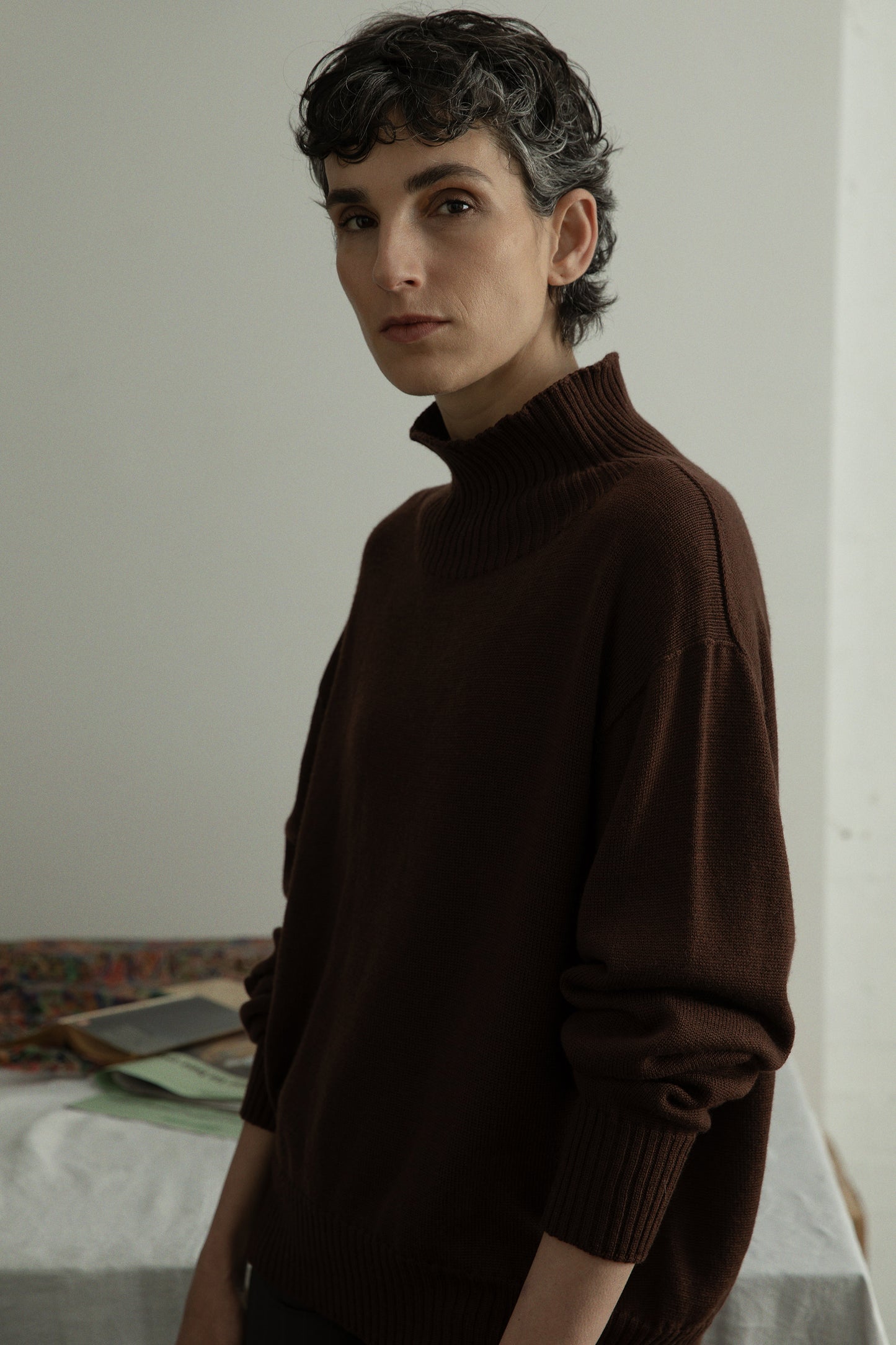 Albers Turtle Neck in Chestnut