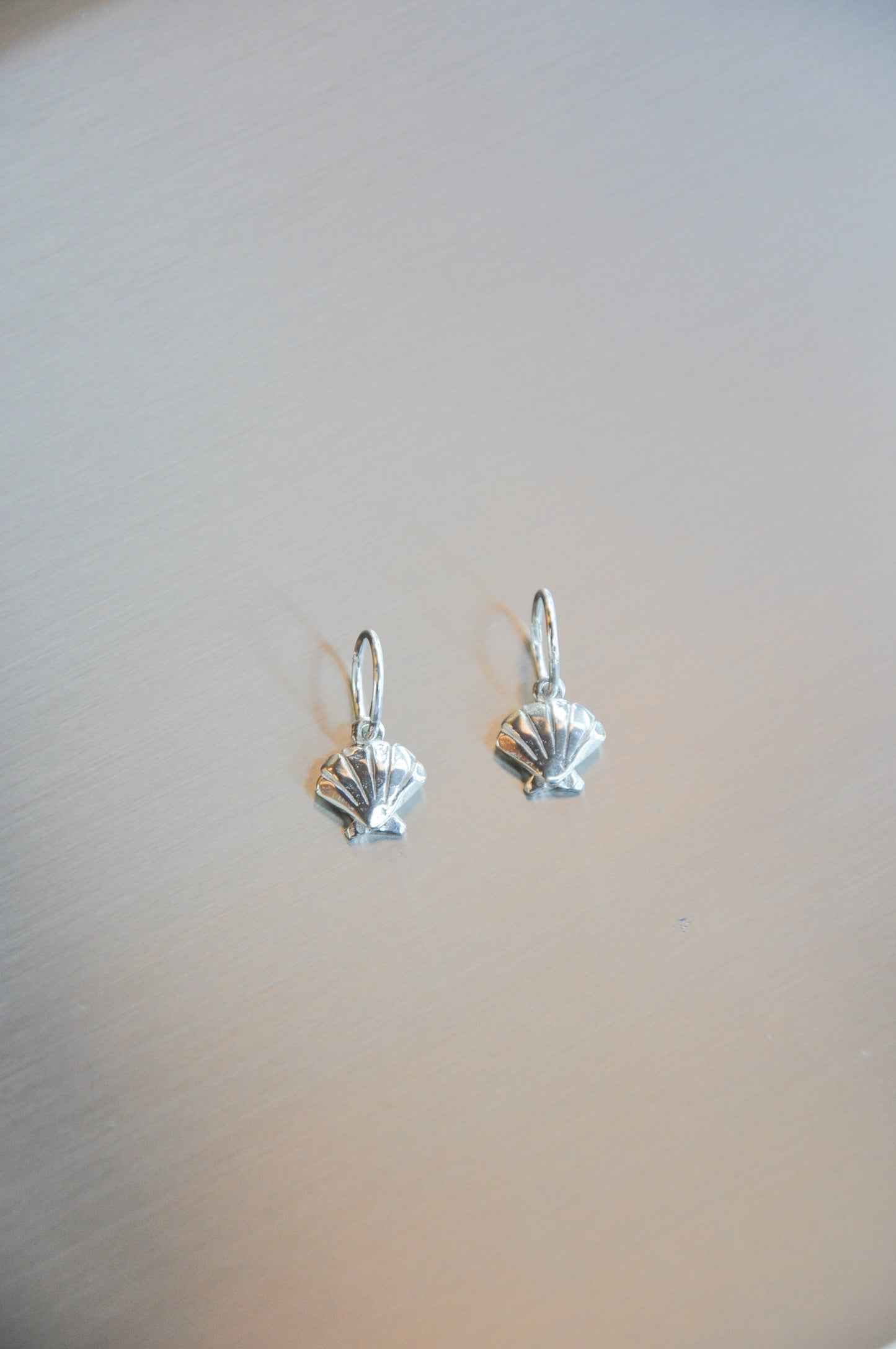 By The Sea Earrings in Silver