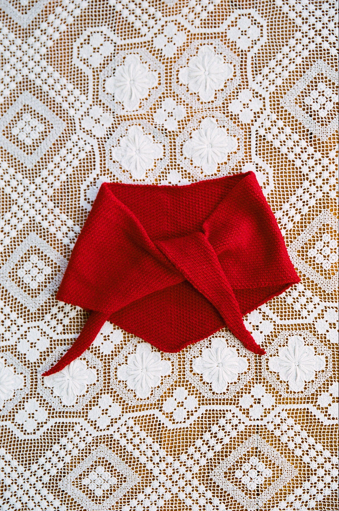 Daisy Scarf in Tamarillo