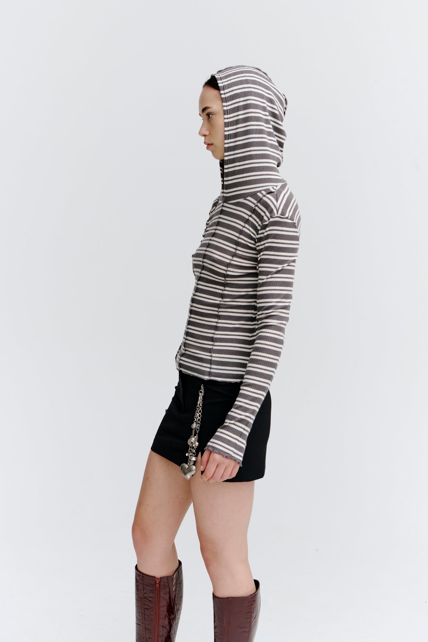 Segment Hooded Top in Stripe