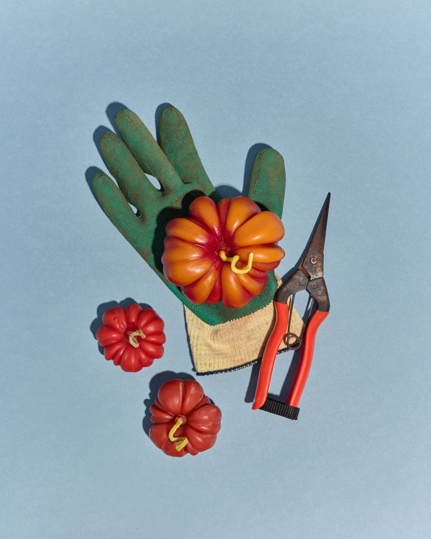 Heirloom Tomato Small in Red