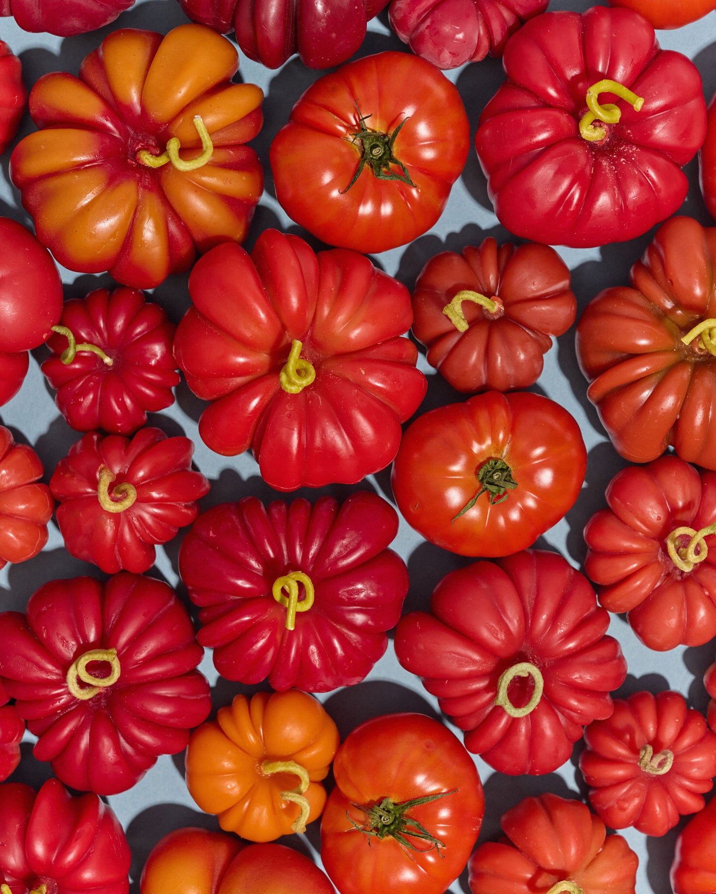 Heirloom Tomato Large in Red