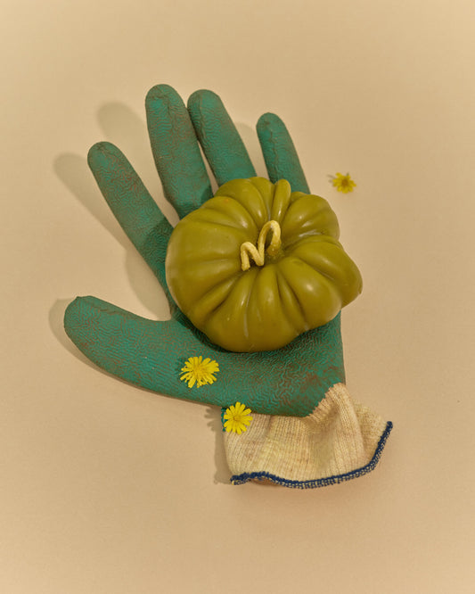 Heirloom Tomato Large in Green